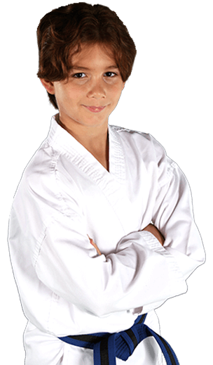 Kids Karate Taekwondo Martial Arts